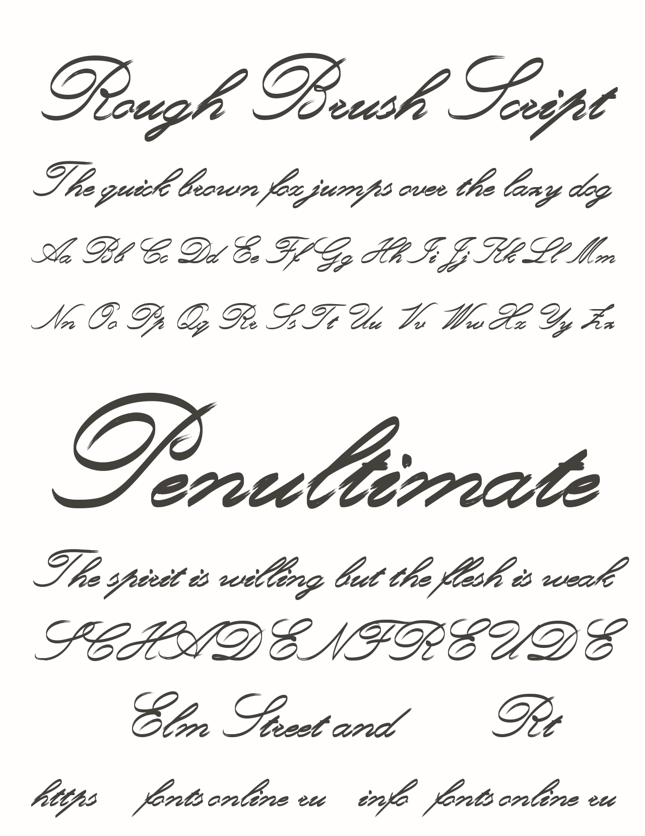 Rough Brush Script Font