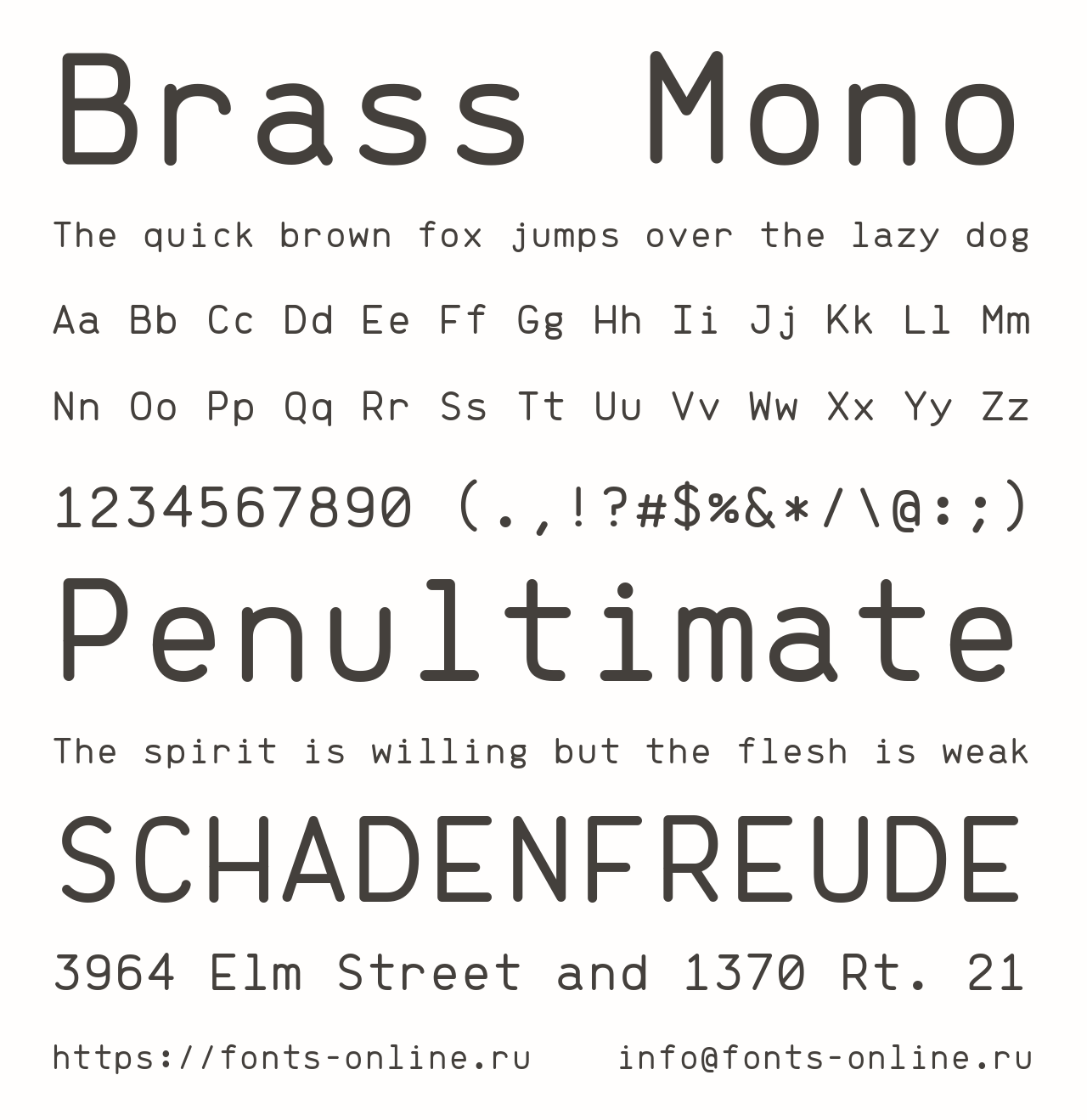 Font Brass Mono
